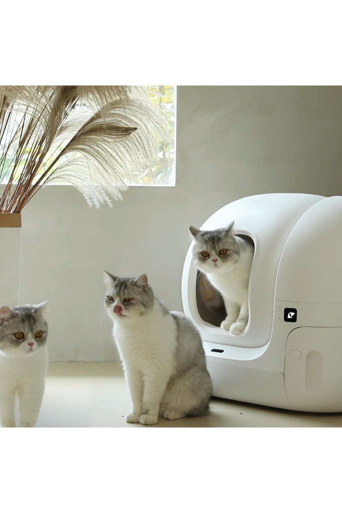 Petkit Pura Max Akıllı Kedi Tuvaleti Beyaz