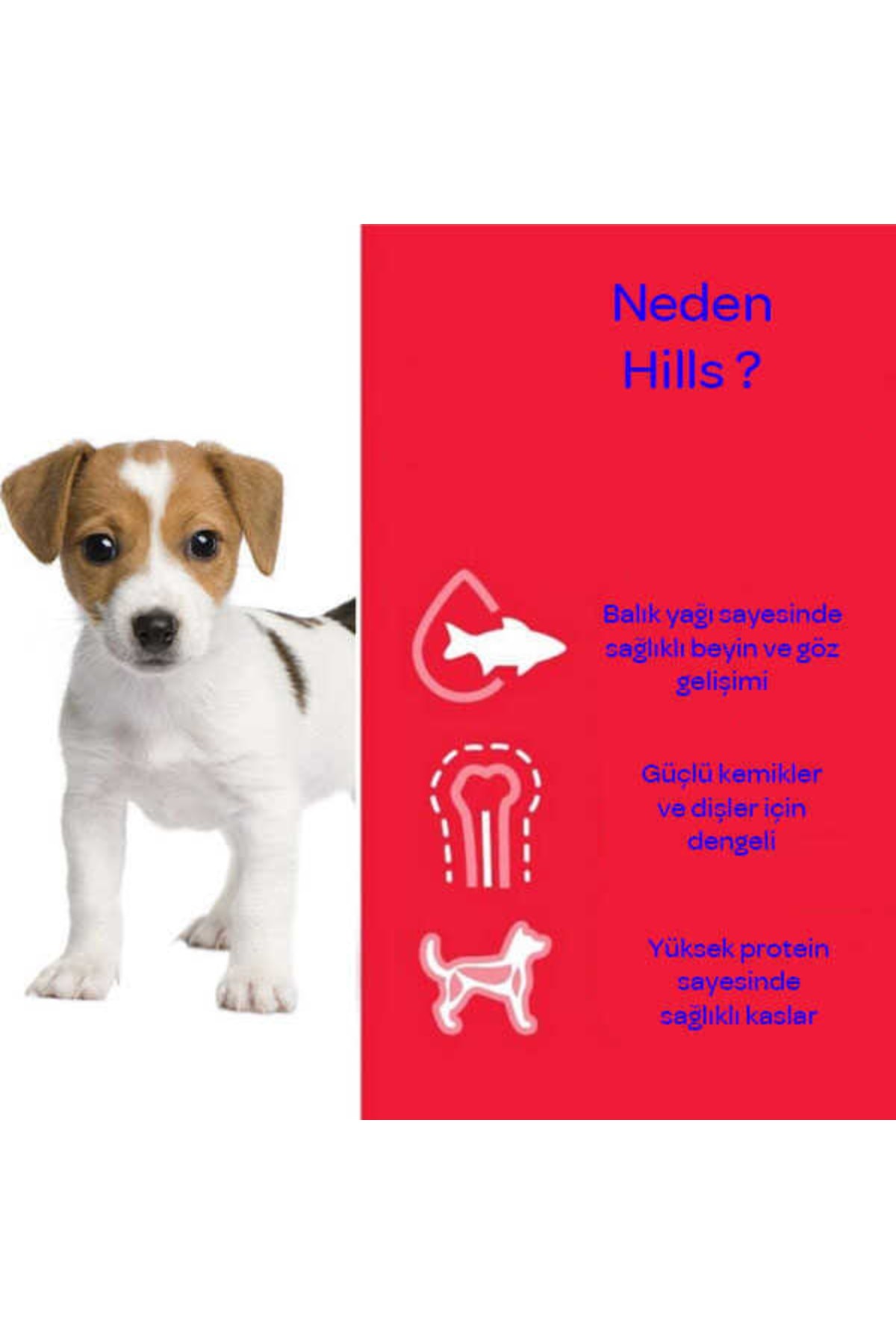 Hills Small Mini Kuzulu Yetişkin Köpek Maması 6 kg