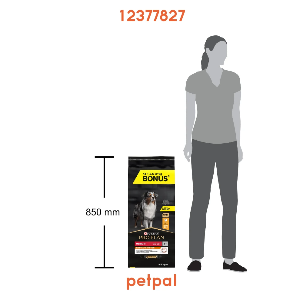 Proplan Medium Adult Tavuklu Yetişkin Köpek Maması 16,5 kg