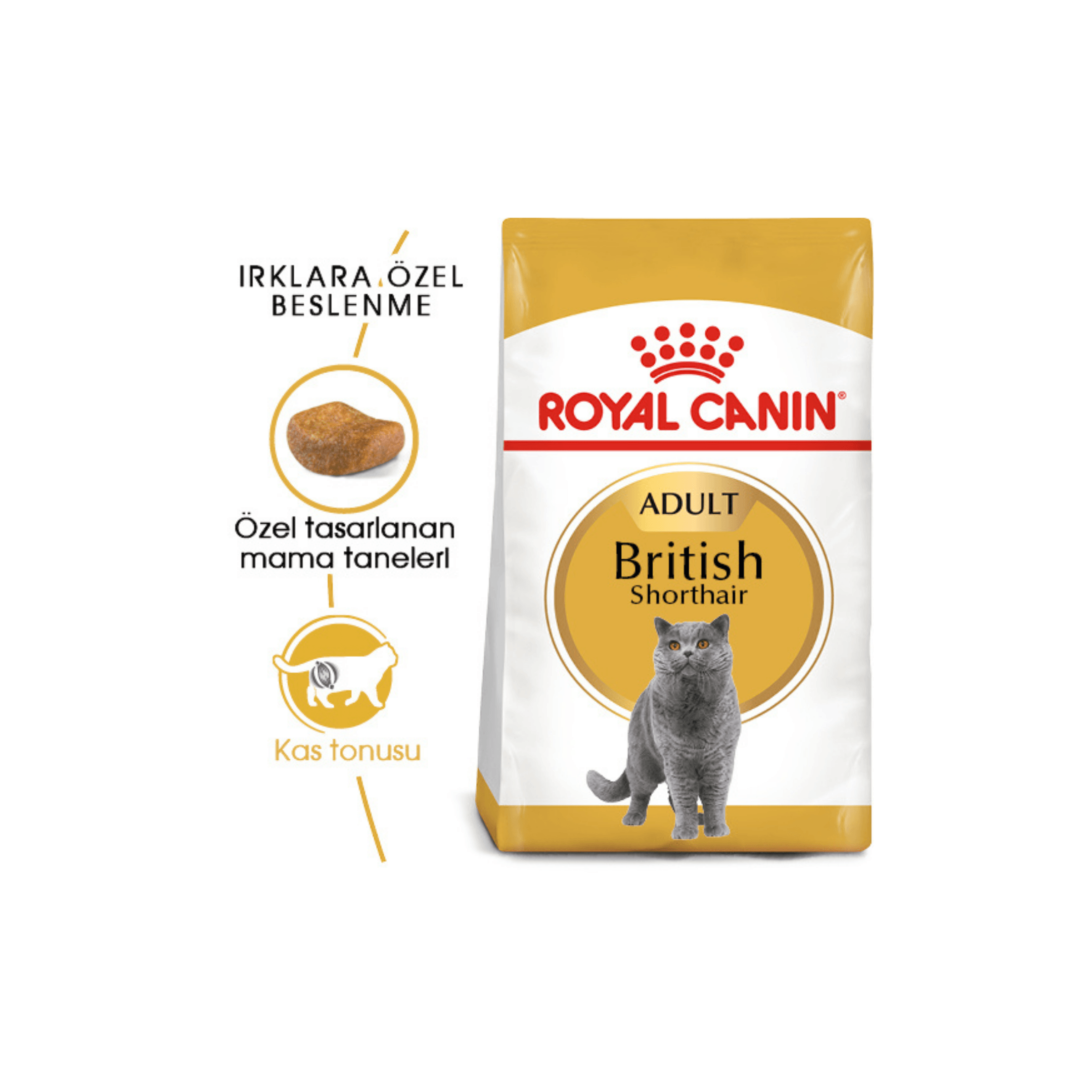 Royal Canin British Shorthair Yetişkin Kedi Maması 4Kg