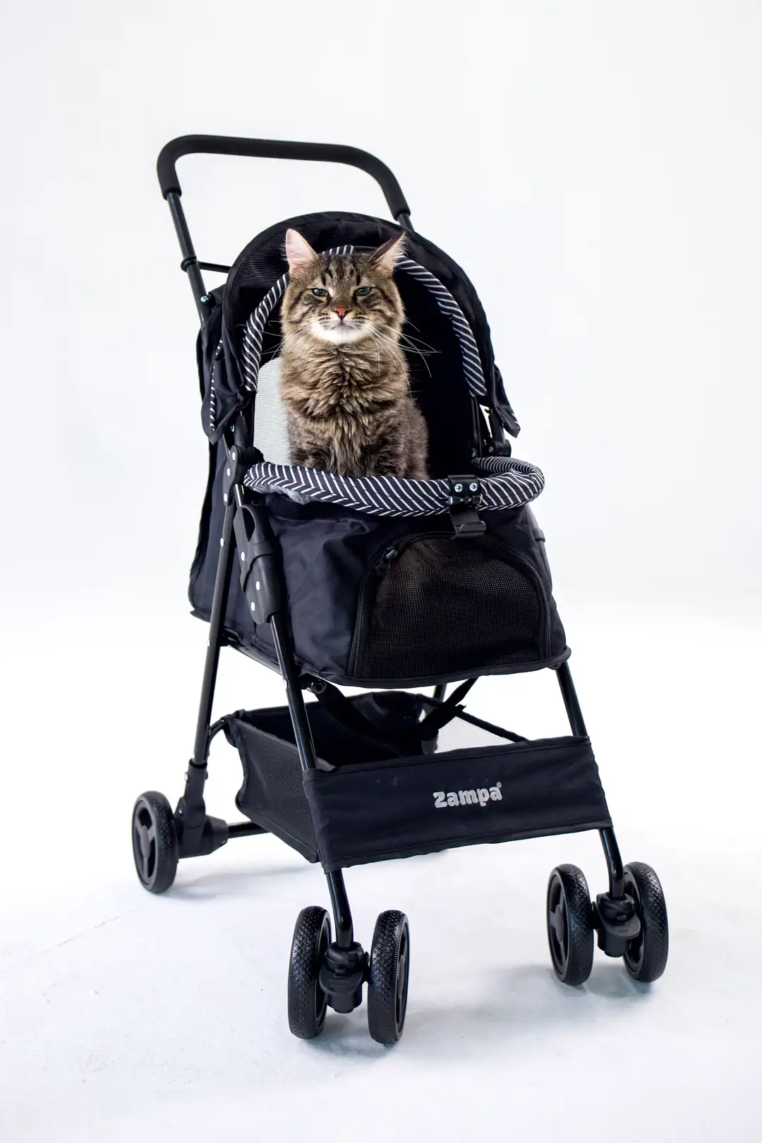 Zampa Showtime Kedi Ve Köpek Arabası Siyah 42x69.5x88 Cm - Mavireyon