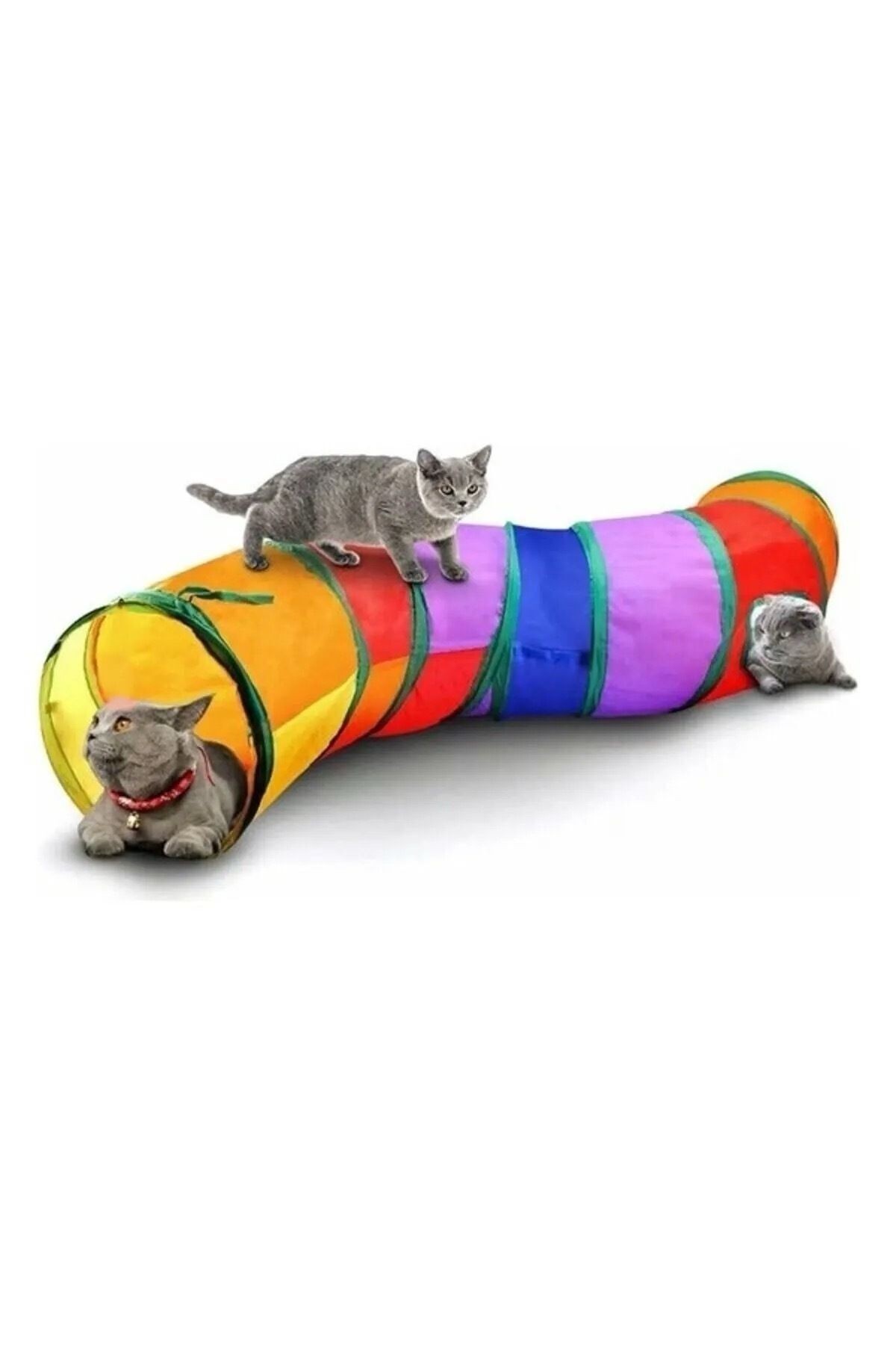 Petpal Düz Kedi Tüneli Katlanır Gökkuşağı Uzun Düz Kedi Köpek Oyun Tüneli Evcil Hayvan Oyun Tüneli