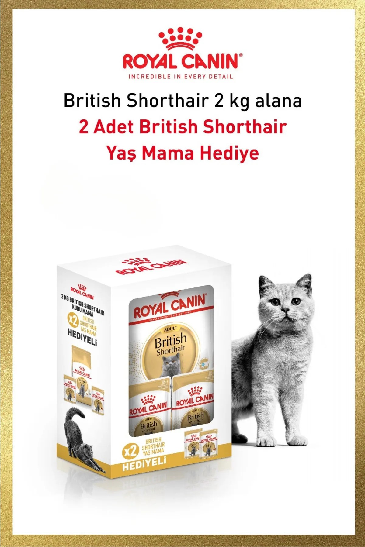 Brıtısh shorthaır 2 kg +2 adet pounch hediyeli Bundle