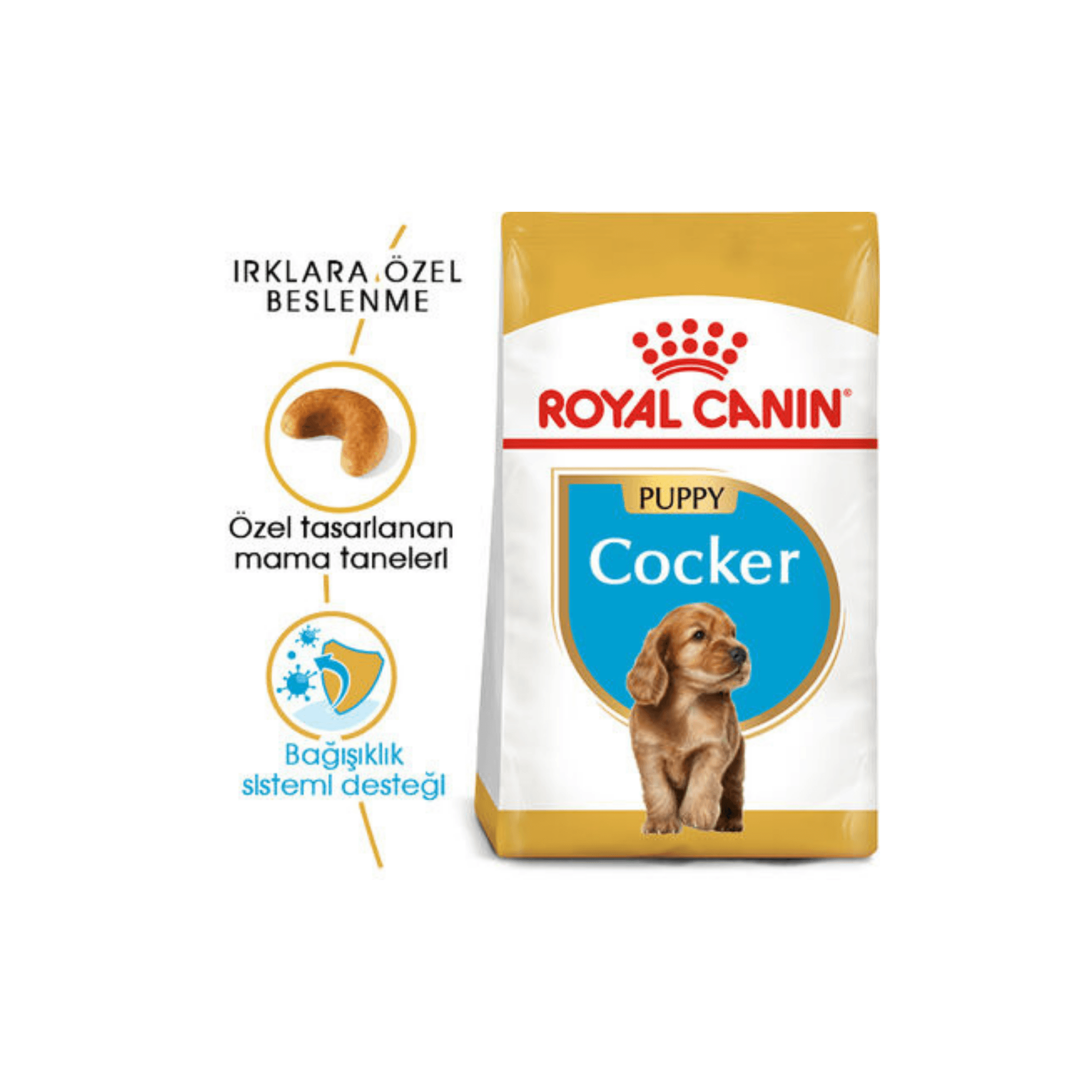 Royal Canin Cocker Junior Yavru Köpek Maması 3 kg