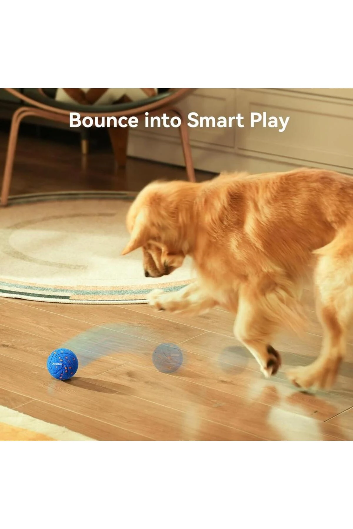 Cheerble Akıllı İnteraktif Köpek Oyuncağı, Mavi 7 x 7 x 7cm