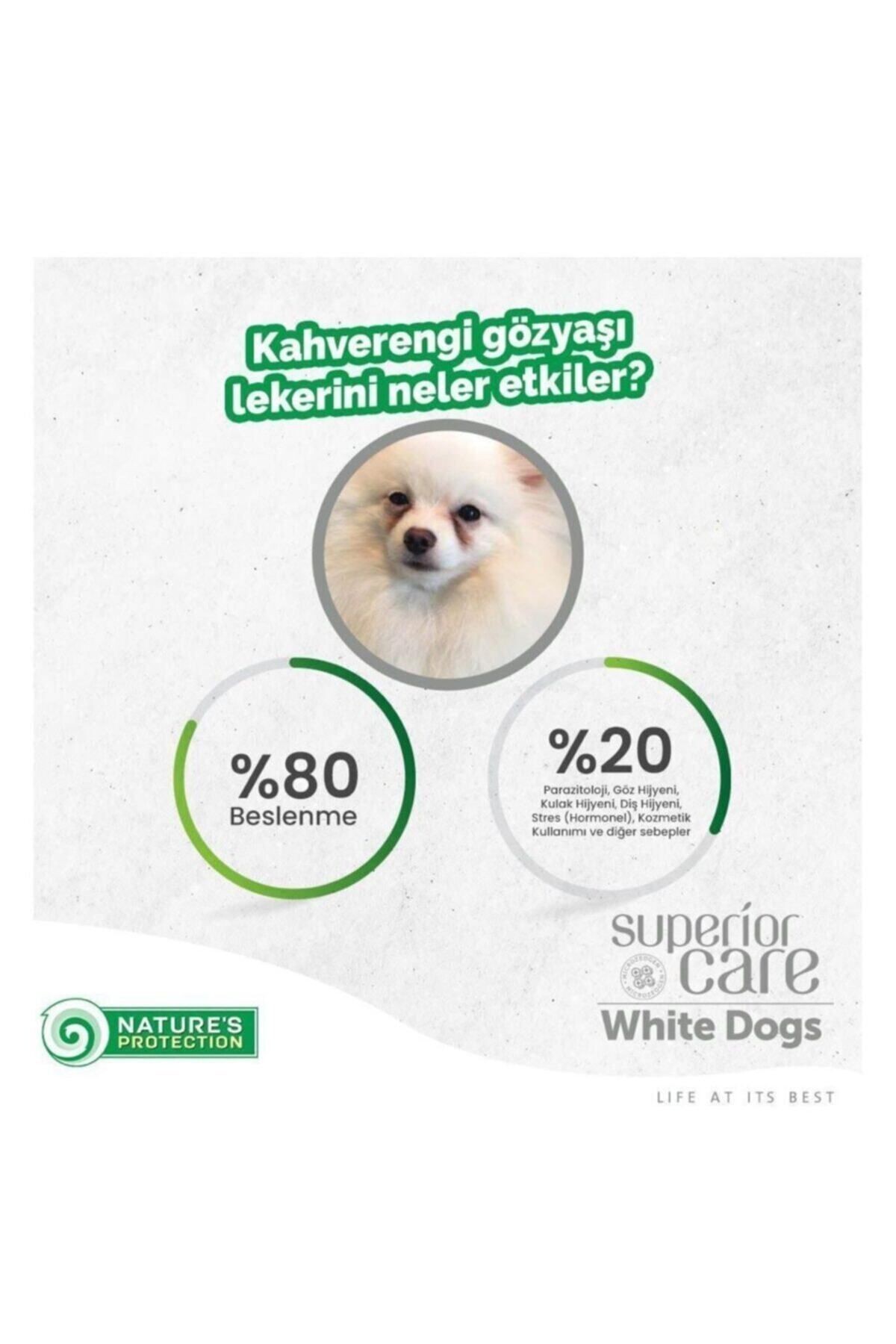 N.Protection White Dogs Tahılsız Somunlu Yavru Köpek Maması 12 KG