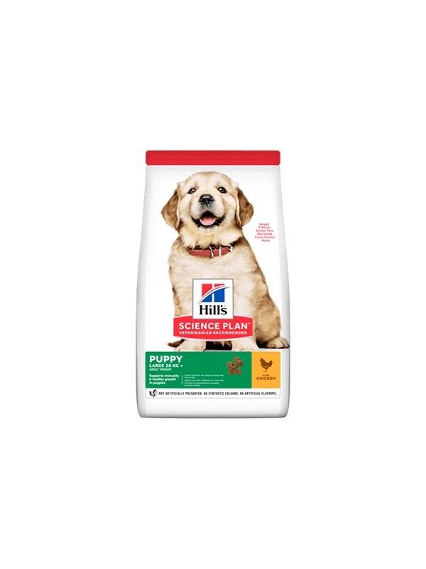 Hills Puppy Large Büyük Irk Yavru Köpek Maması 14,5 kg