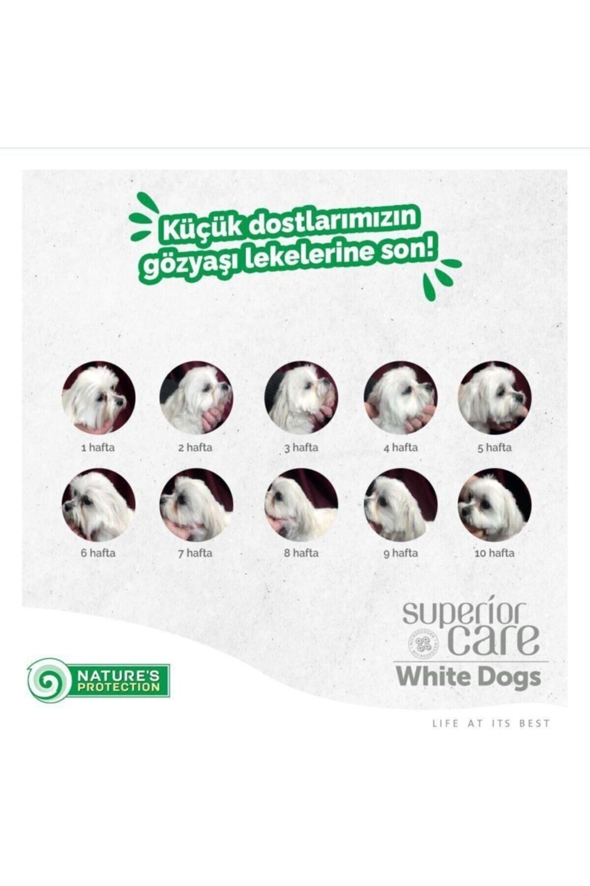 N.Protection White Dogs Tahılsız Somunlu Yavru Köpek Maması 12 KG