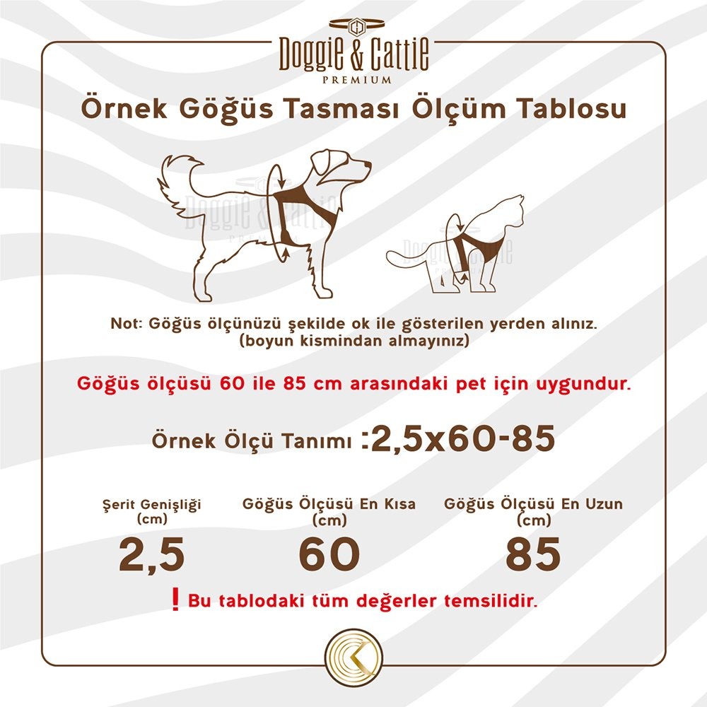 CATTİE DESENLİ KEDİ GÖĞÜS & GEZDİRME TAKIMI SİYAH 1X25-40CM