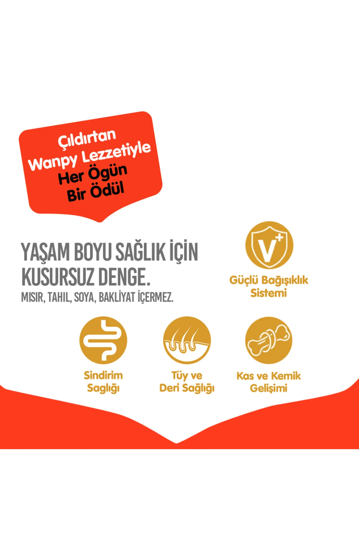 Wanpy Tahılsız Ördekli Yetişkin Köpek Maması 1,5 kg