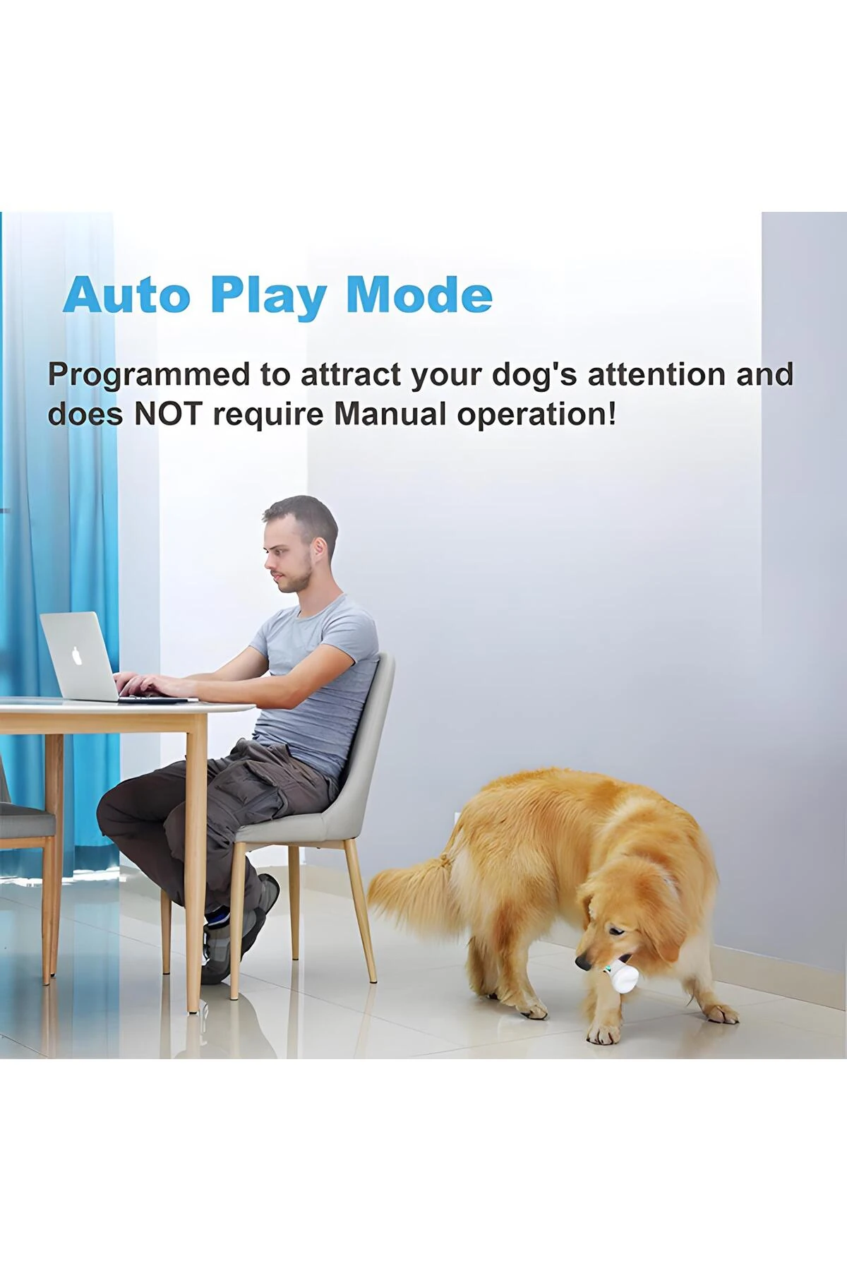 Cheerble Akıllı Kemik: Köpek ve Kedi için Dayanıklı Otomatik Oyuncak 20 X 10 X 8