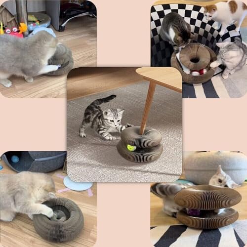 Katlanabilir Kedi Tırmalama Oyuncağı Toplu Catnipli Akordeon Tasarım Zeka Geliştirici