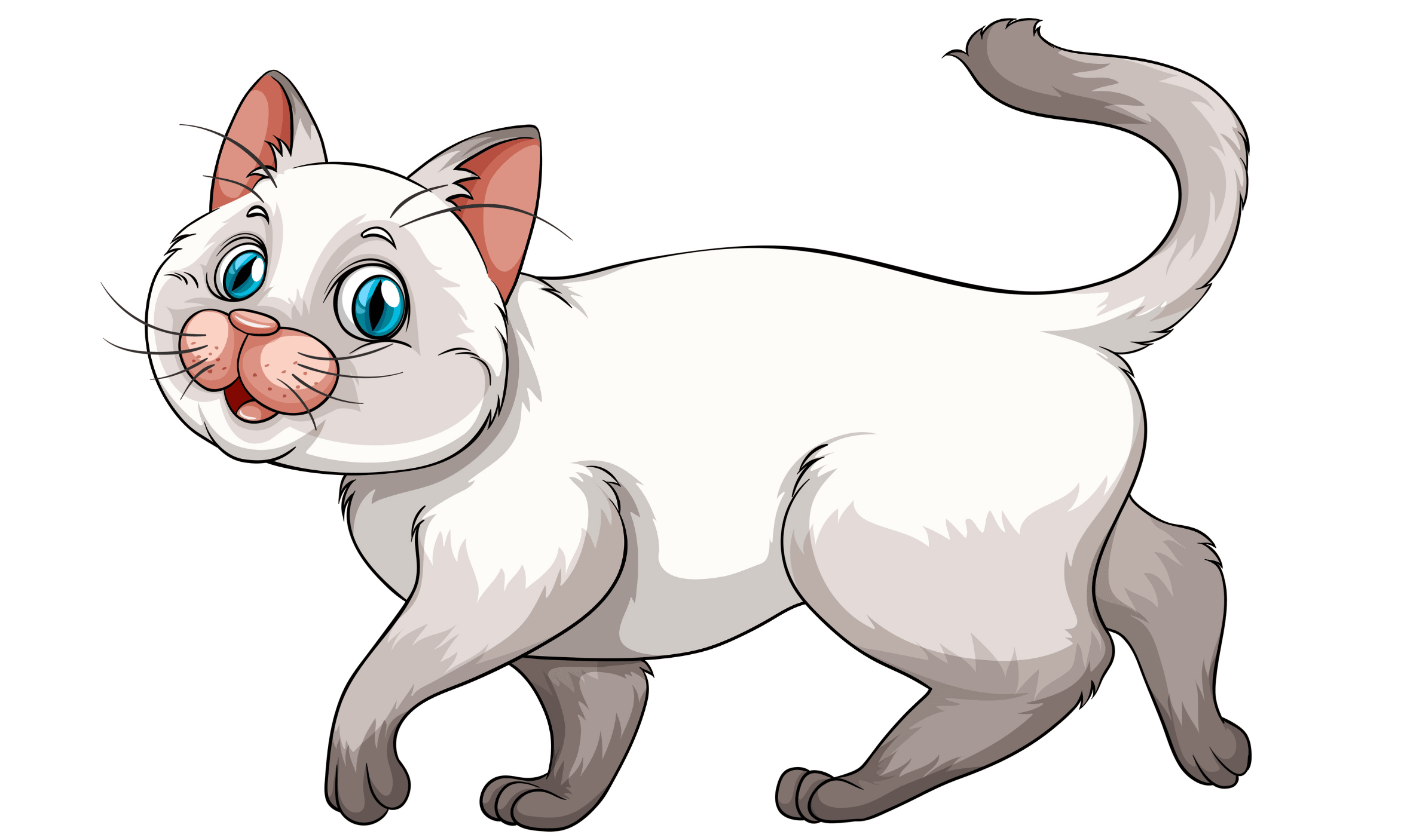 Gebe Kedi Beslenmesi 