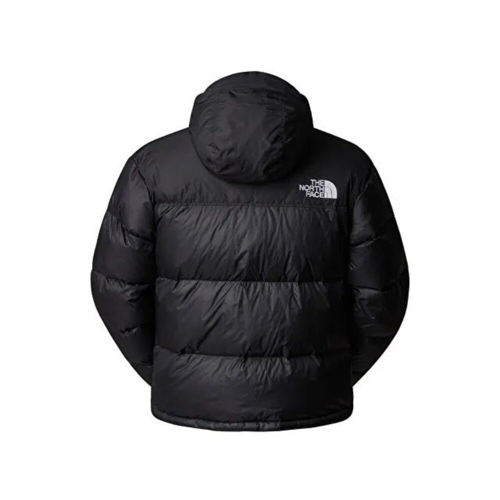 The North Face erkek mont