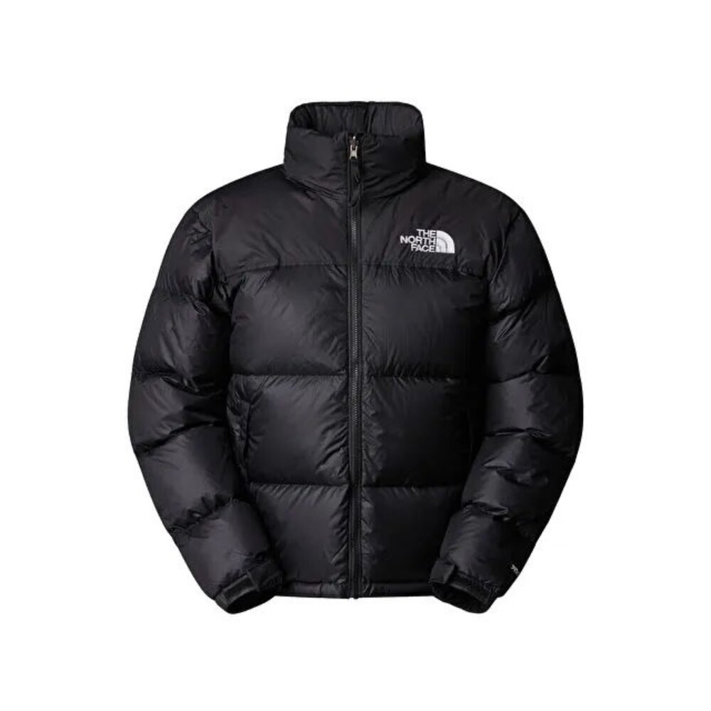 The North Face erkek mont