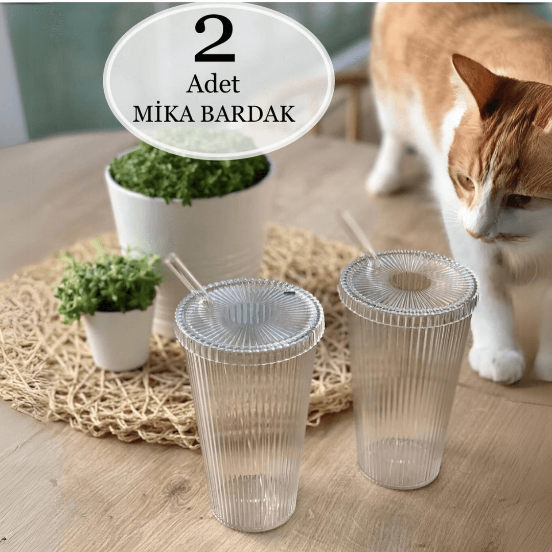 MİKA 2 Adet 600 Ml Mika Kapaklı Pipetli Origami Stil Mika Bardak | Sunum Bardağı Meşrubat Bardağı