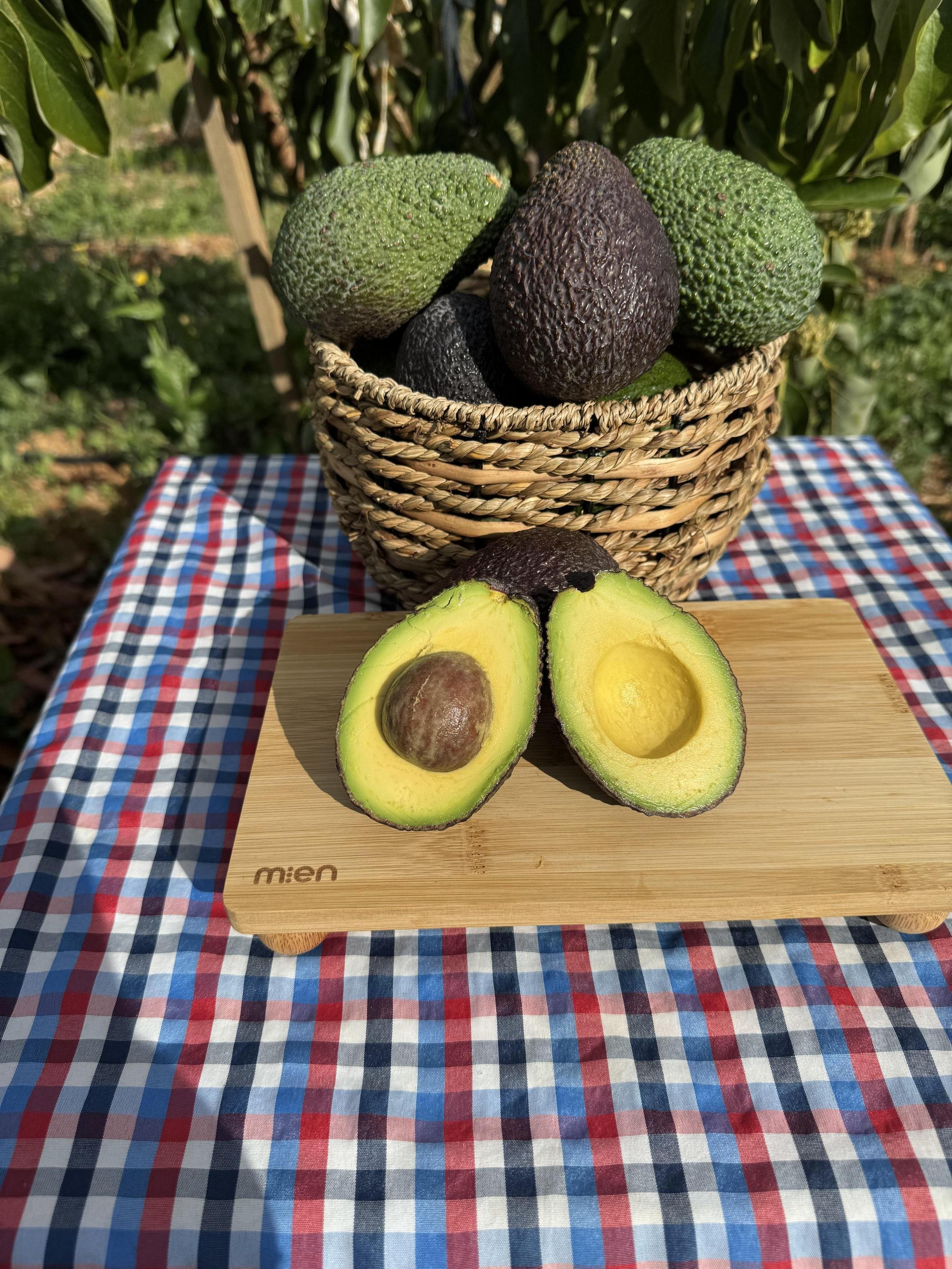 Hass Avokado - Doğallığın ve Lezzetin Saf Hali (KG) (200Gr Altı)