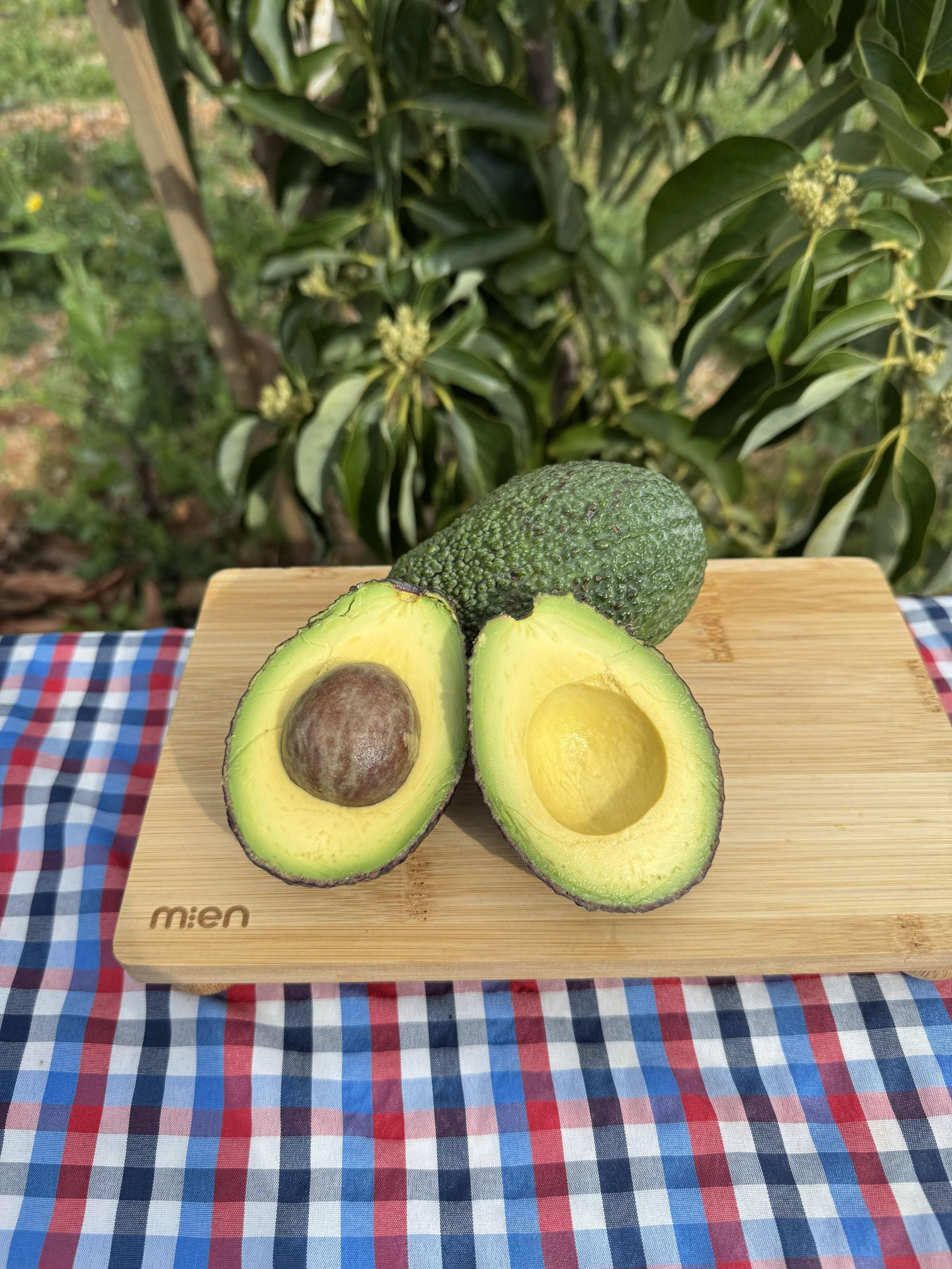 Hass Avokado - Doğallığın ve Lezzetin Saf Hali (KG) (200Gr Altı)
