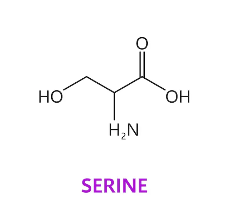 L-Serin