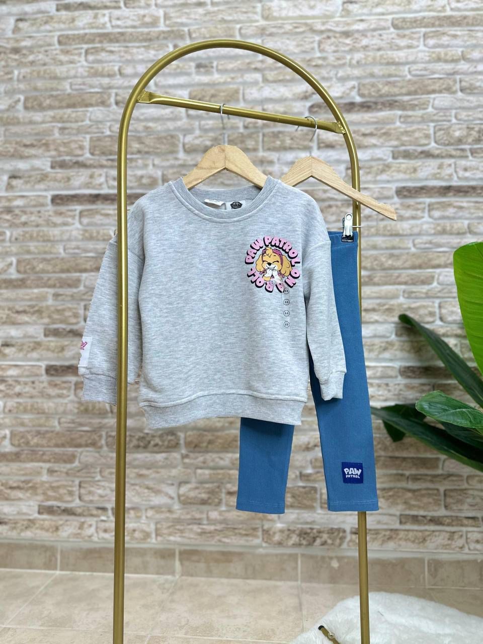 Paw Patrol Baskılı Takım