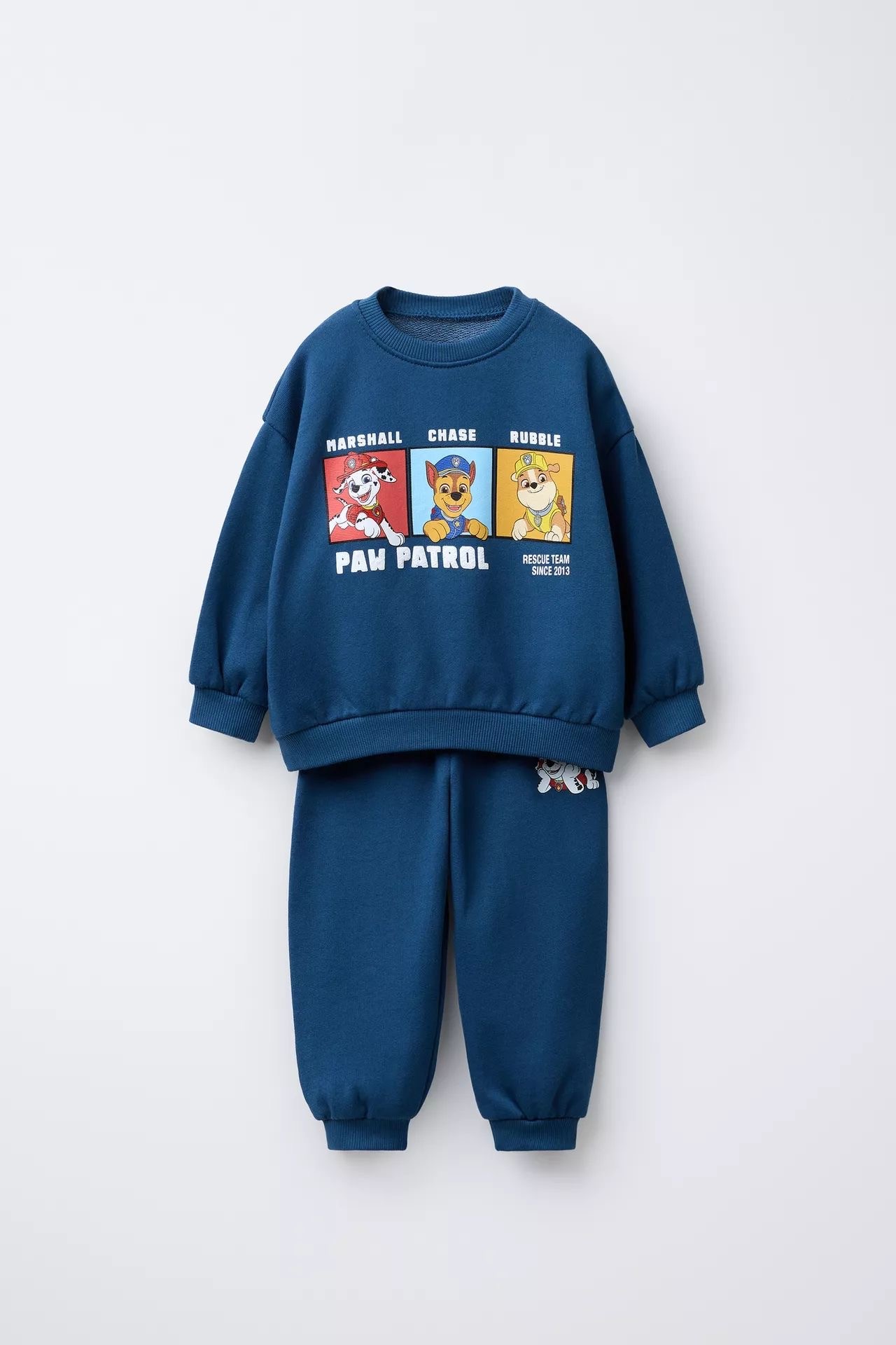 Paw Patrol Takım 