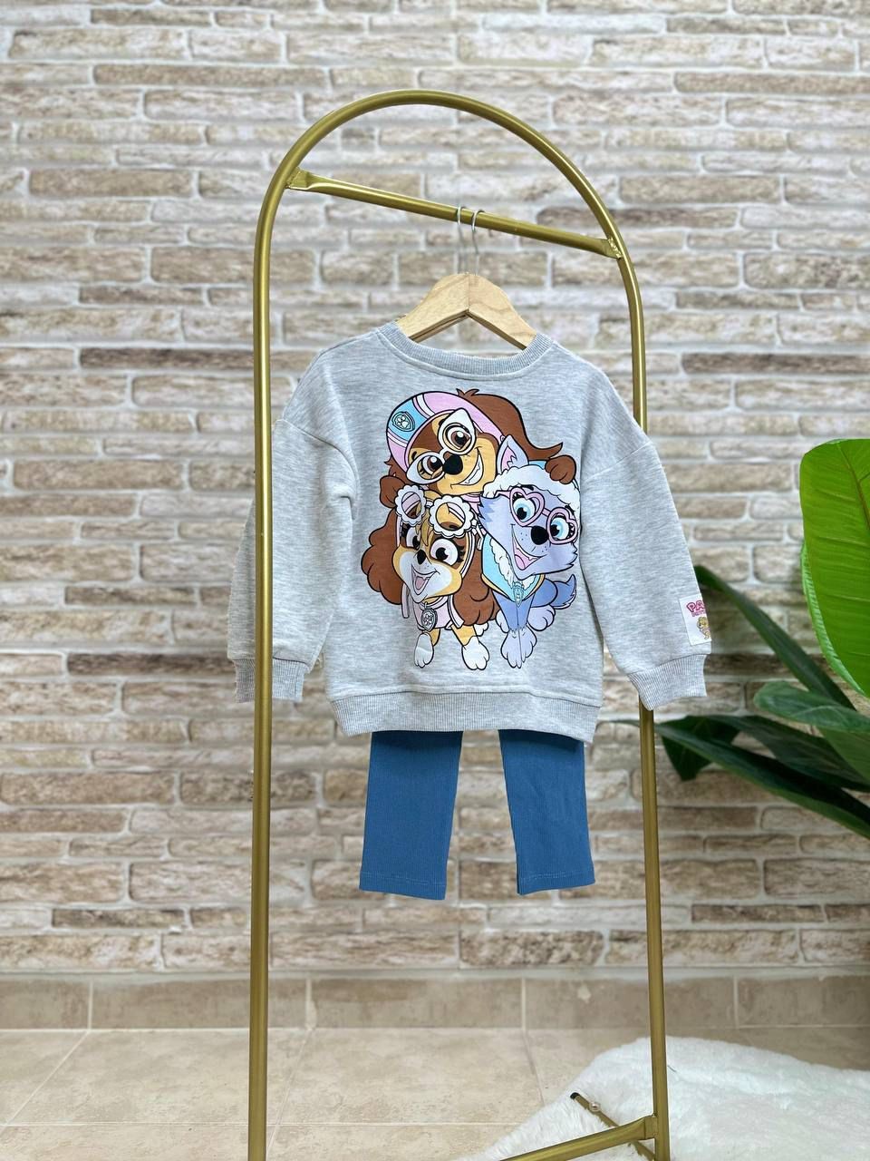 Paw Patrol Baskılı Takım
