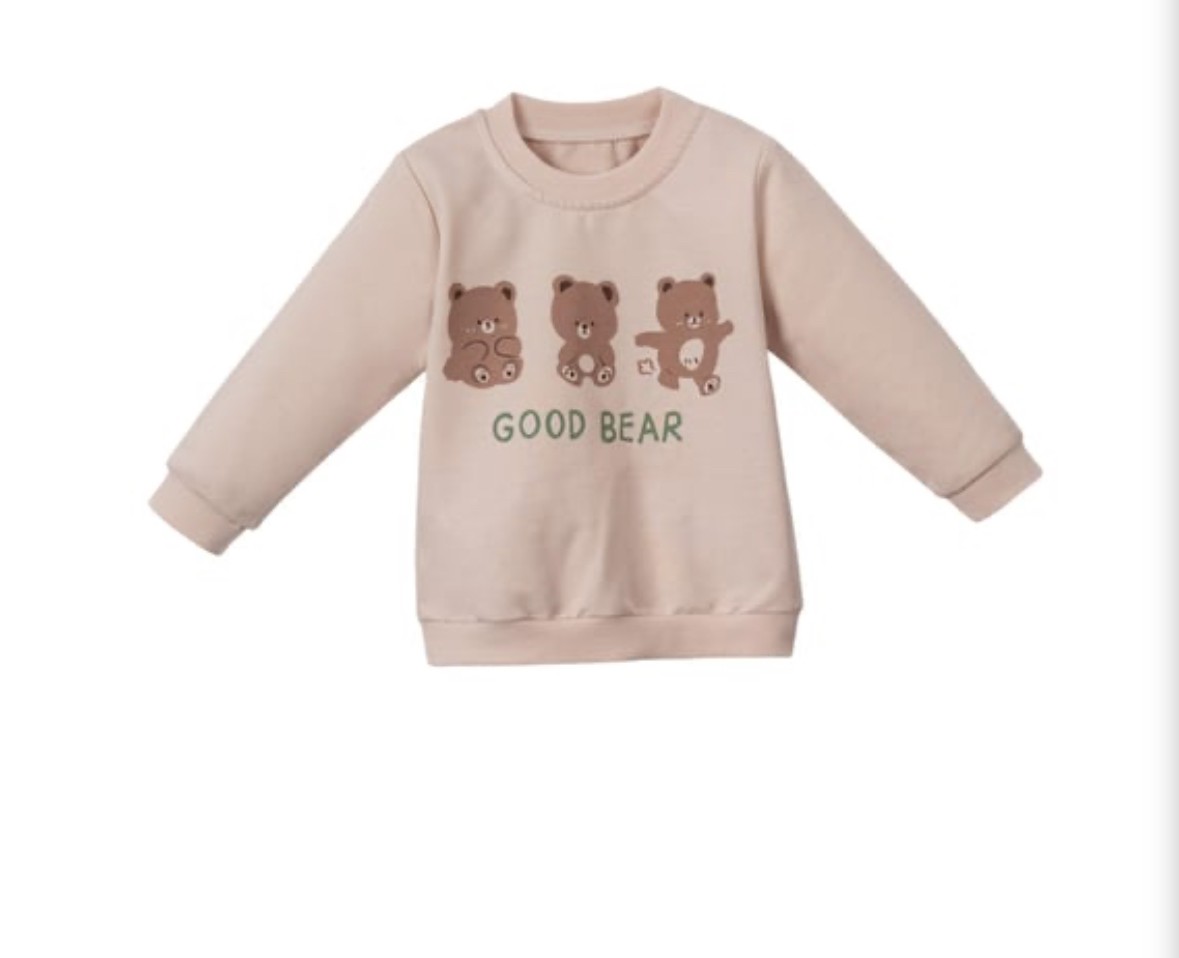 Bear Kapüşonlu Erkek Bebek Üçlü Takım