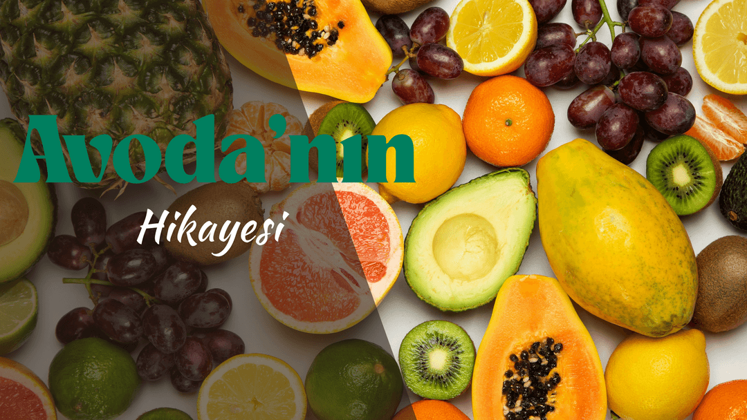 Avoda’nın Hikayesi