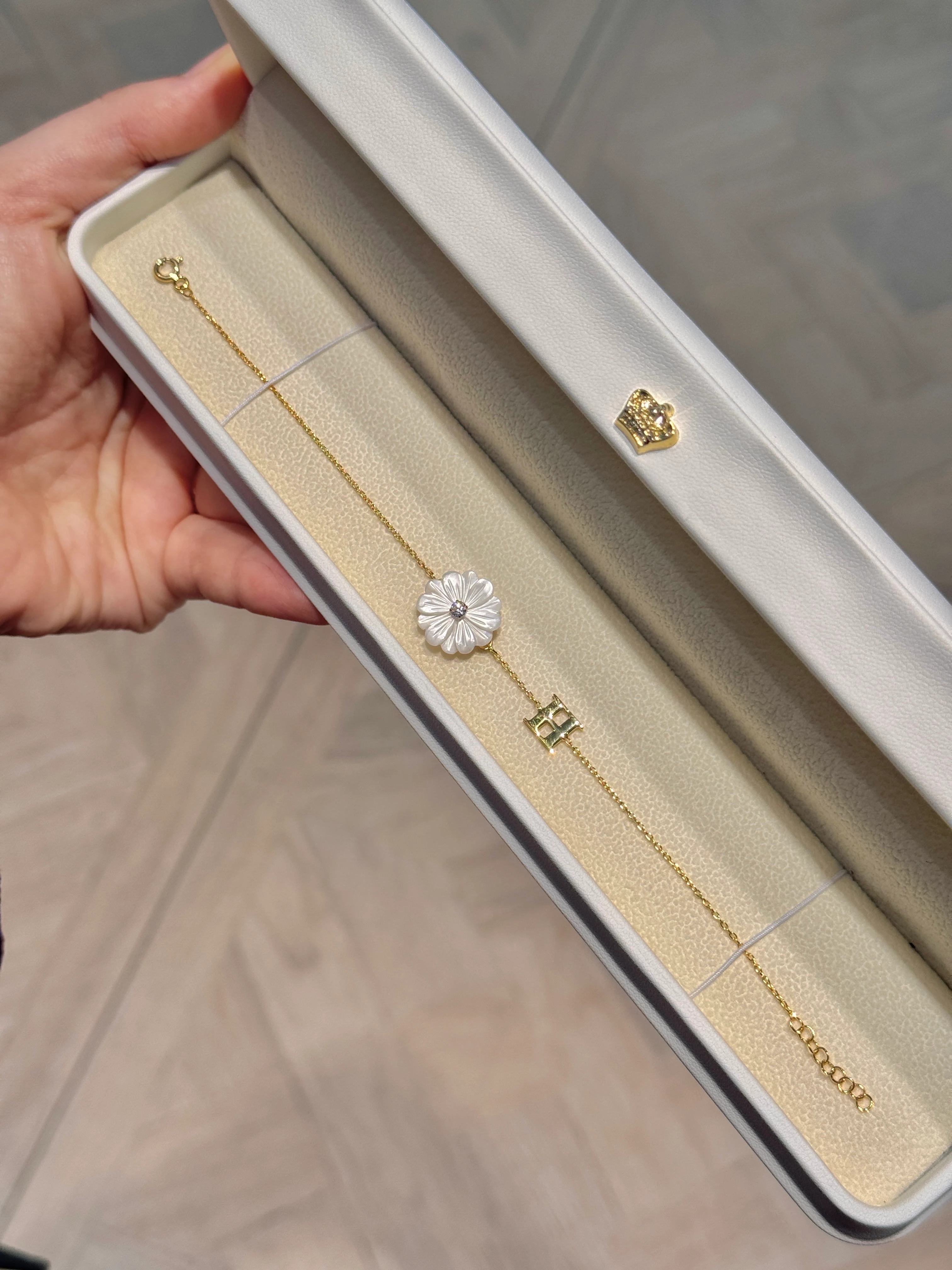 Morina Beyaz Kasımpatı