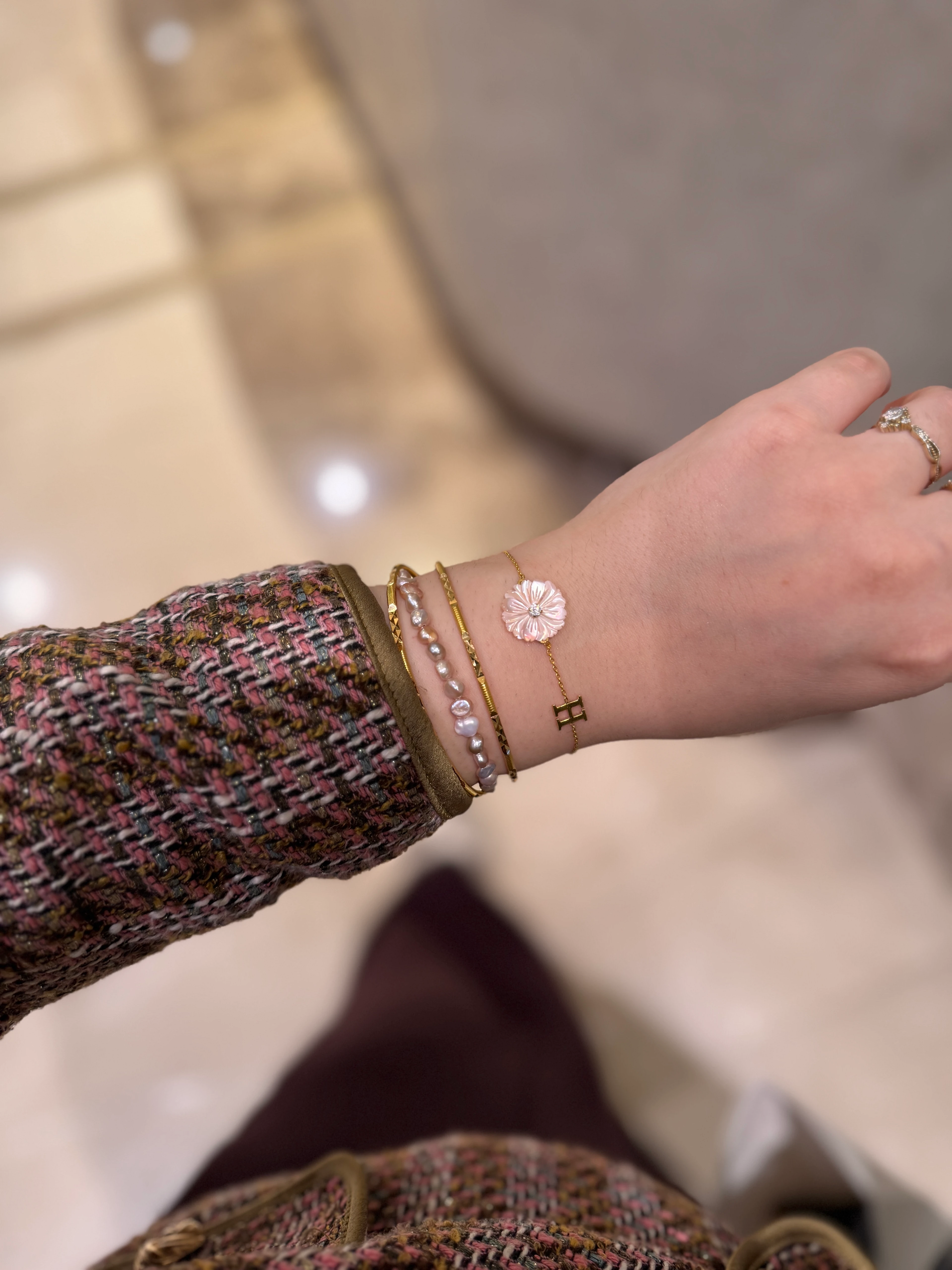 Morina Beyaz Kasımpatı