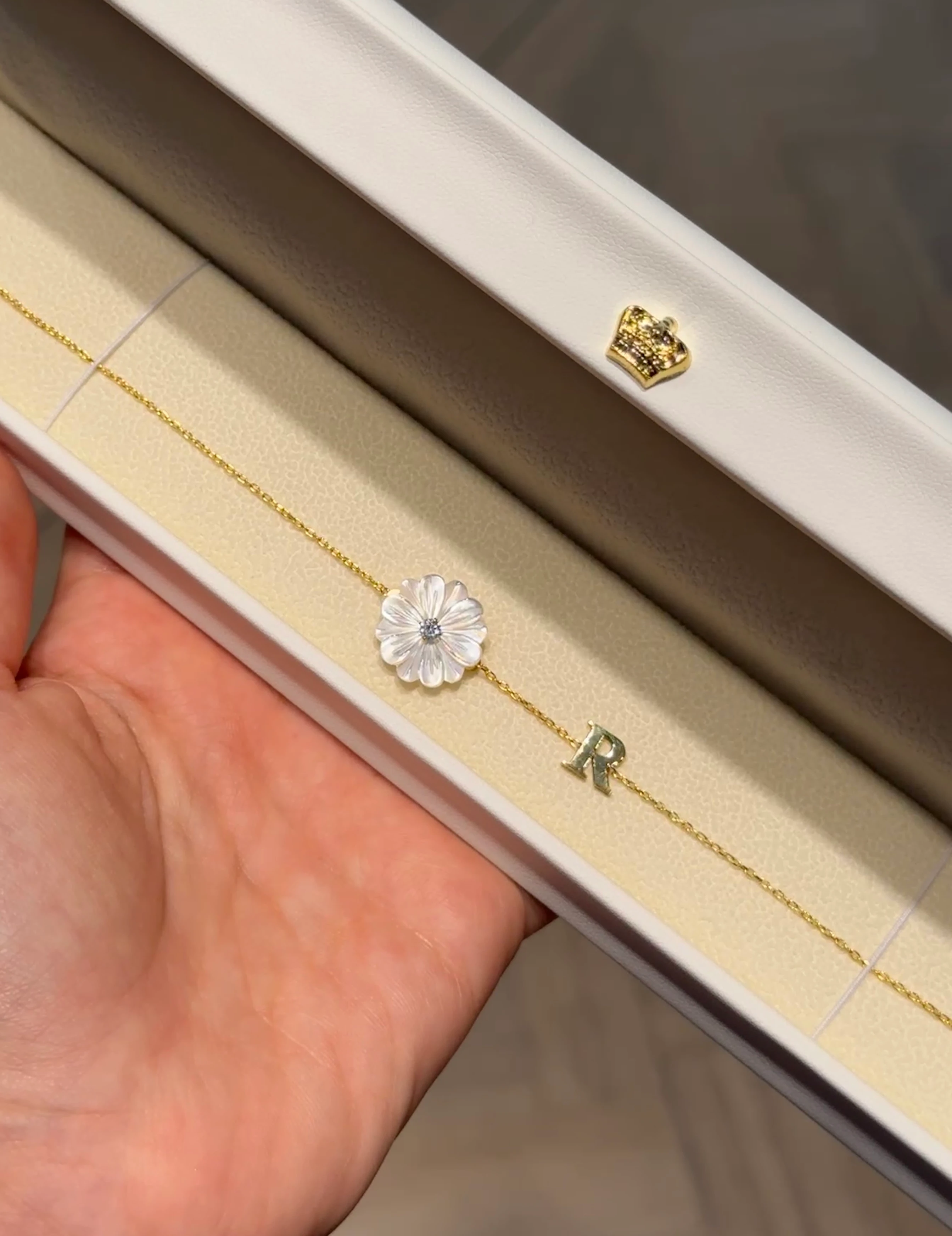 Morina Beyaz Kasımpatı