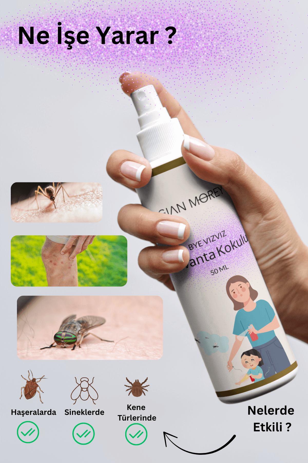 Gian Morey Lavanta Kokulu Sinek,Kene ve Haşera Kovucu 50 ML Sprey