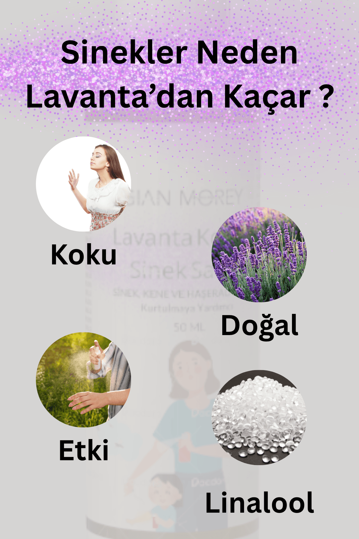 Gian Morey Lavanta Kokulu Sinek,Kene ve Haşera Kovucu 50 ML Sprey
