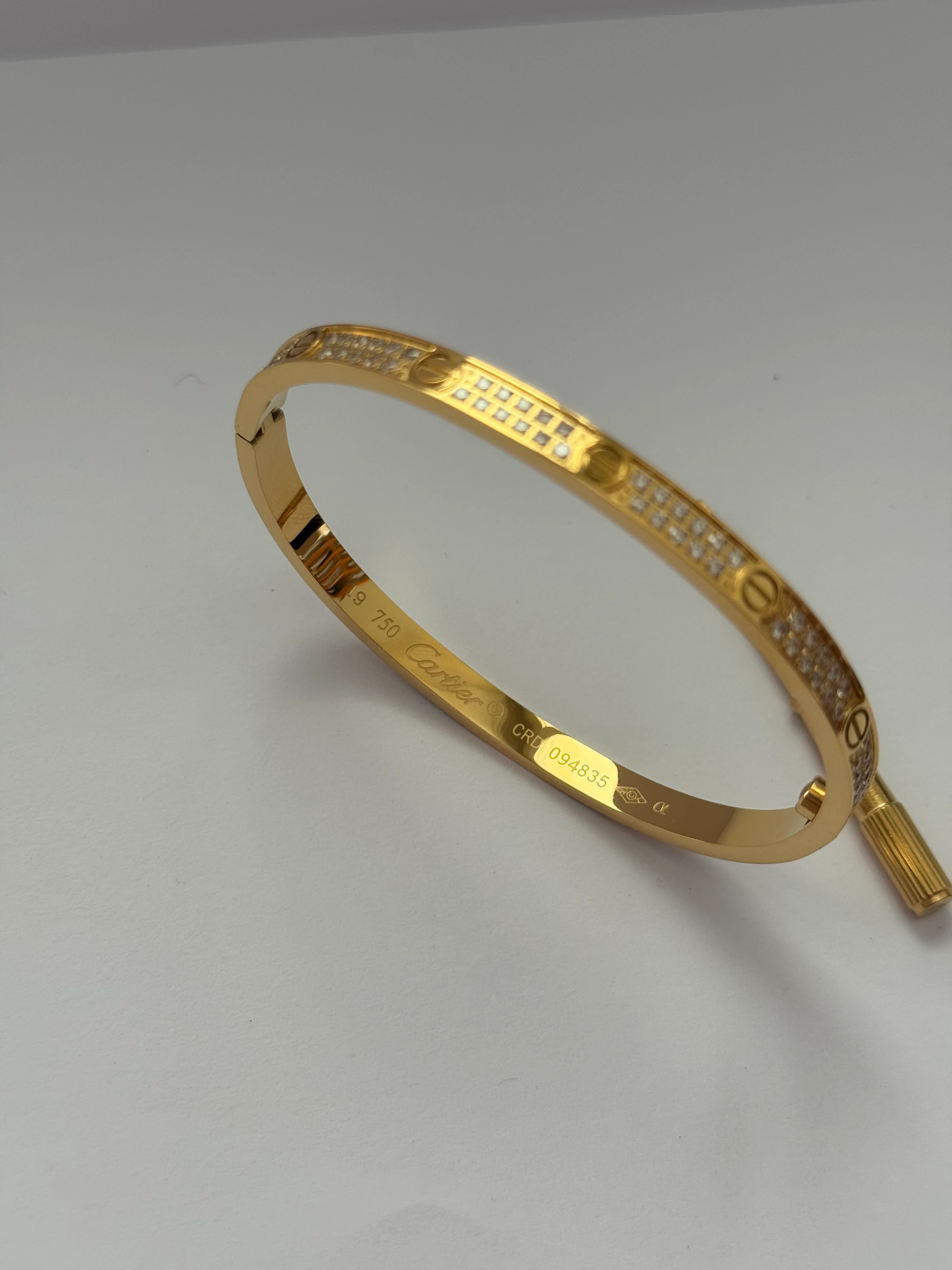 İnce Gold Pave Dizi Vidalı Bileklik