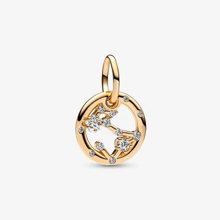 Balık Burcu Sallantı Charm