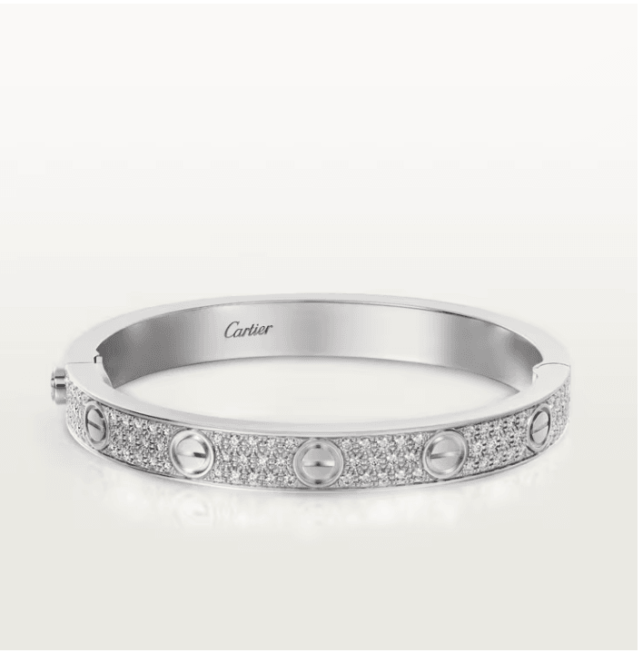 Crt. Silver Pave Dizim Taşsız Vidalı Bileklik