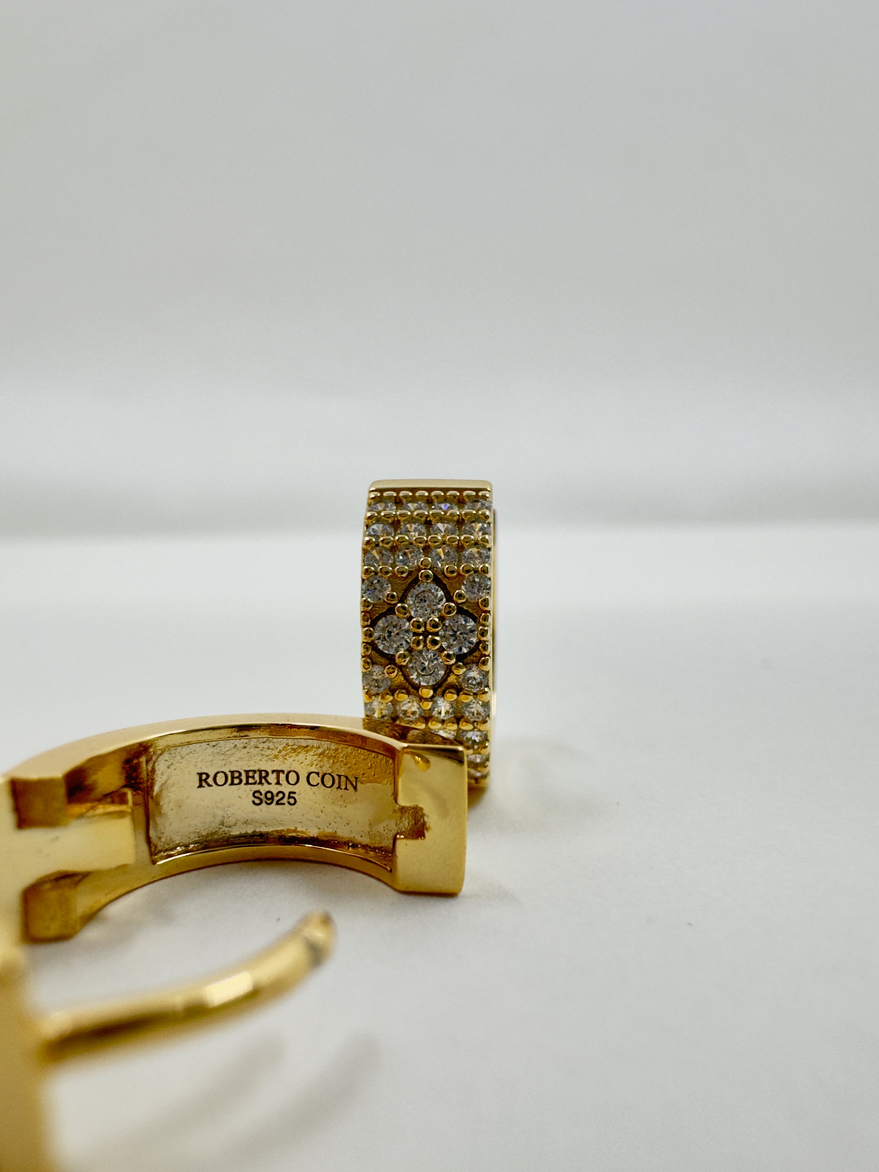 Prem. Roberto C. Gold Taşlı Küpe