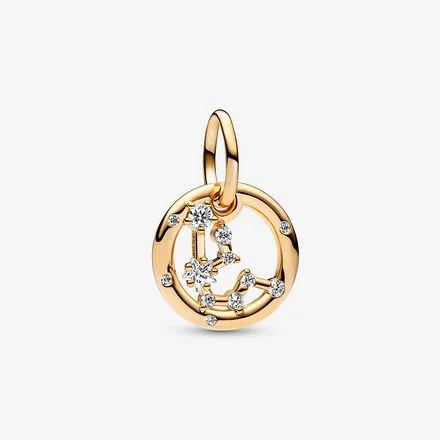 Kova Burcu Sallantılı Charm
