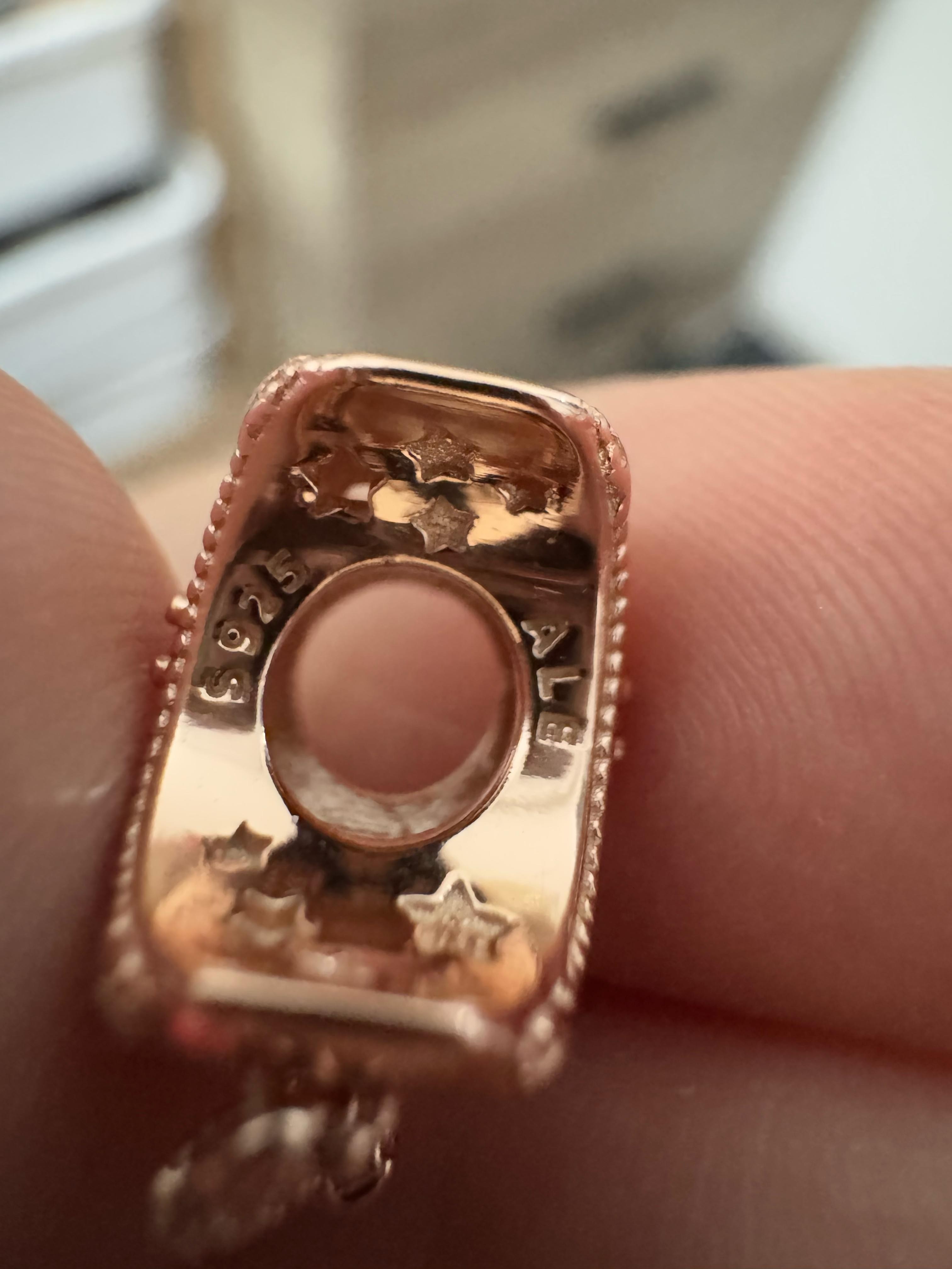 Rose Ay ve Yıldızlar Charm