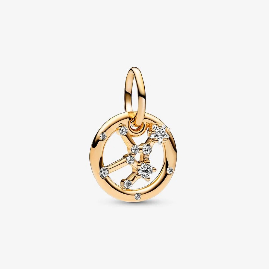 Başak Burcu Sallantılı Charm