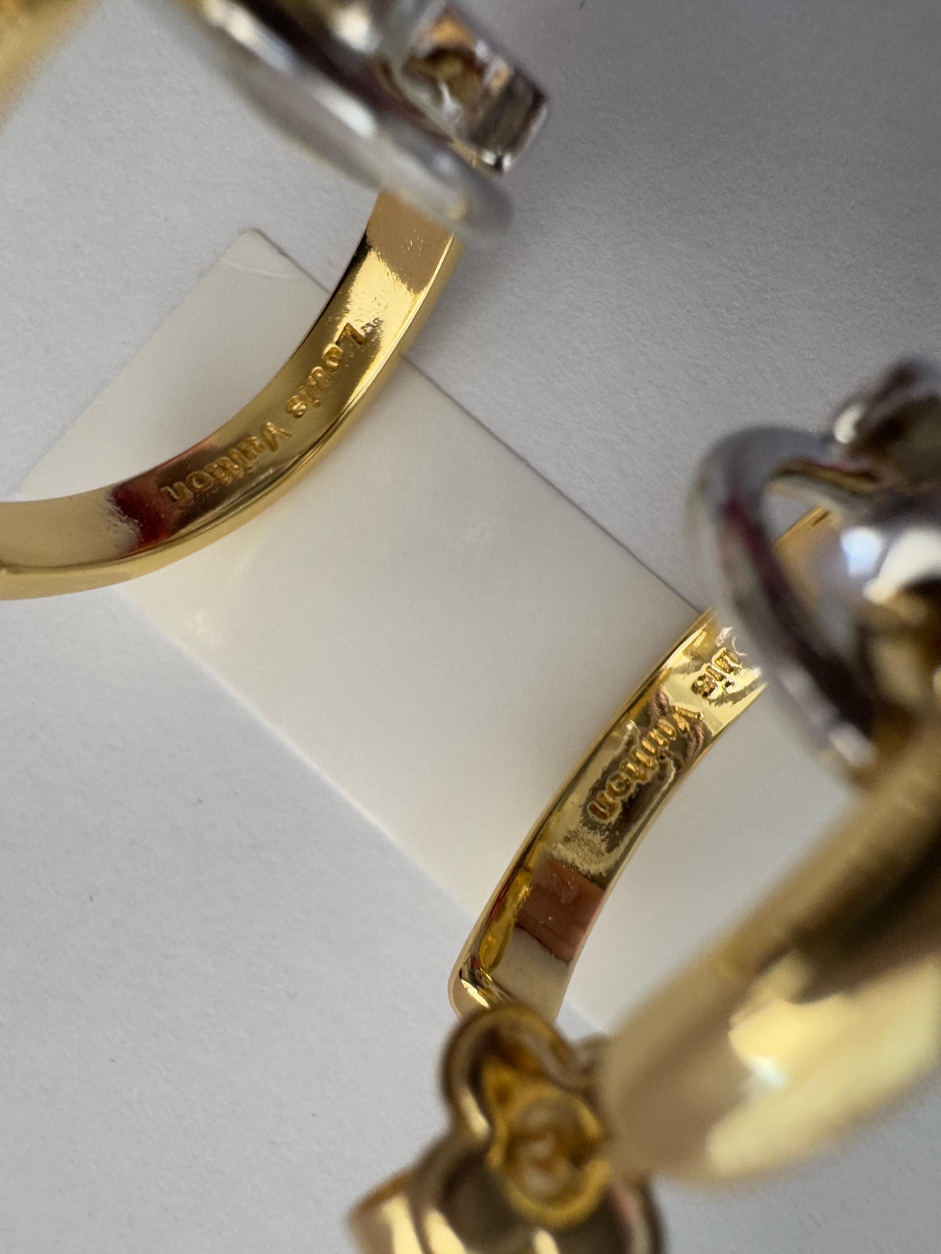 LV. Gold-Silver Halka Küpe