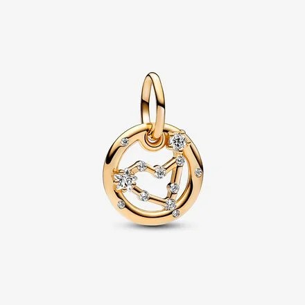 Oğlak Burcu Charm