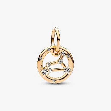 Aslan Burcu Sallantı Charm