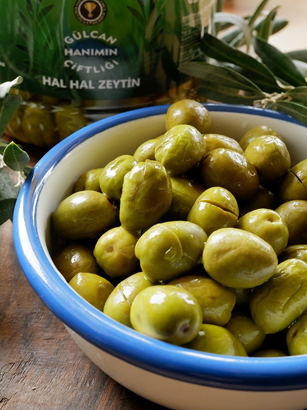 Hal Hal Zeytin