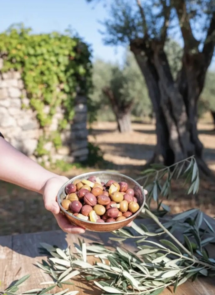 Xl Manzalina Pembe Çizik Zeytin