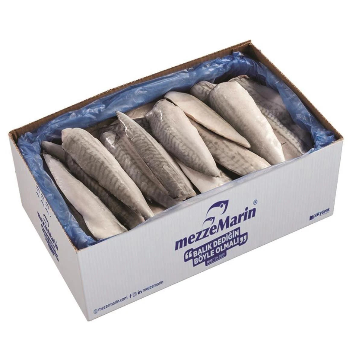 Uskumru Fileto Donuk-Dökme