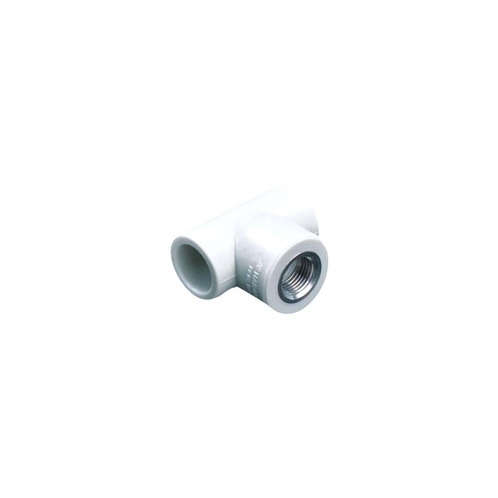PPR Te İç Diş Byz BSPP-G d32-1"