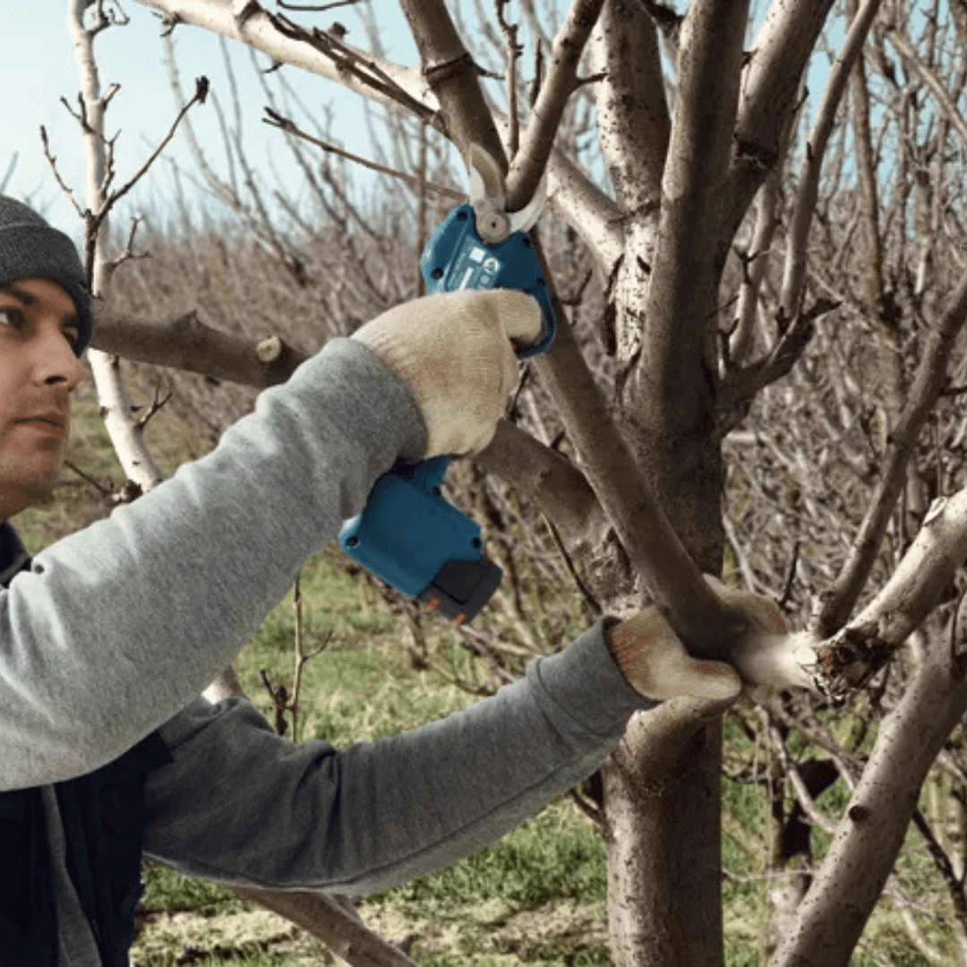 BOSCH AKÜLÜ BAĞ BUDAMA MAKASI (SOLO) Pro Pruner @