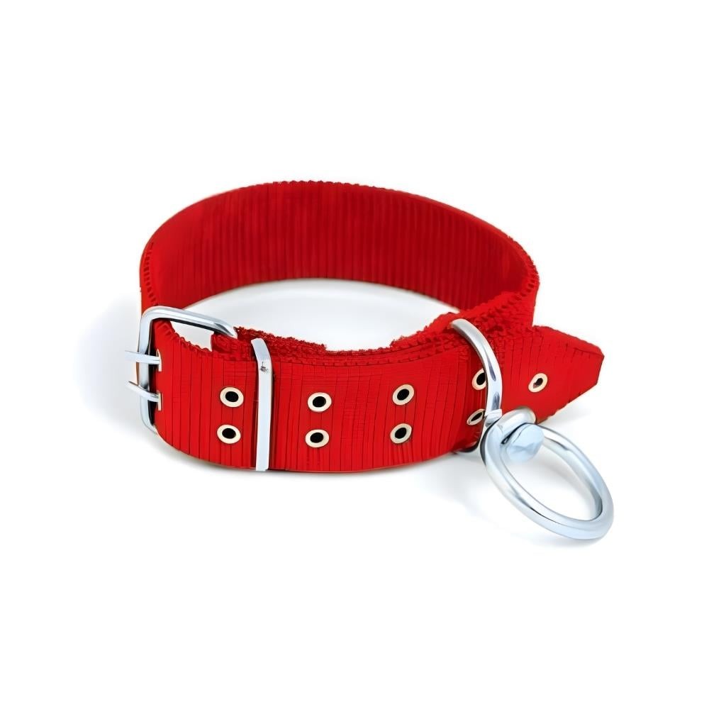 KÖPEK TASMASI PALASKA 2,5 CM