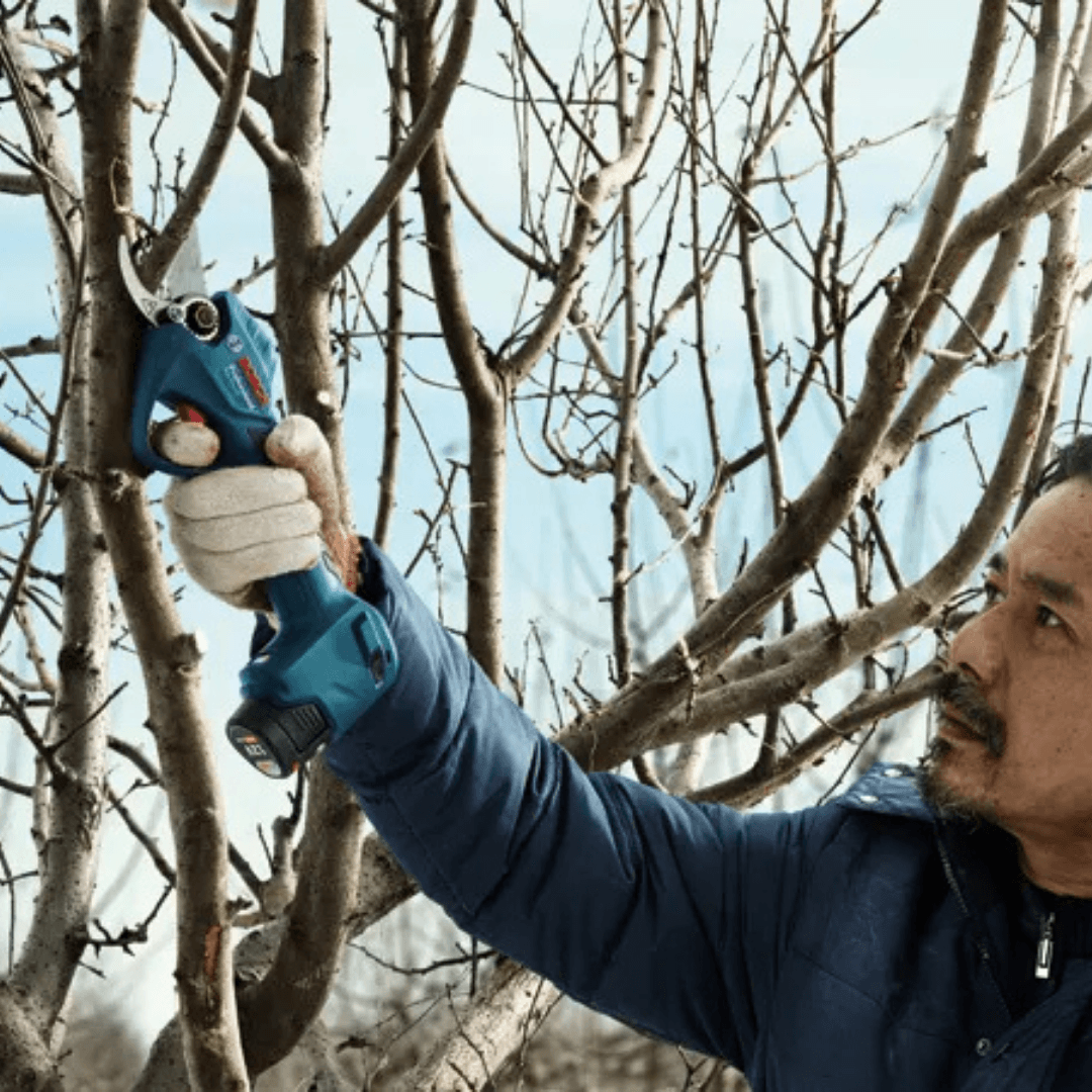 BOSCH AKÜLÜ BAĞ BUDAMA MAKASI (SOLO) Pro Pruner @